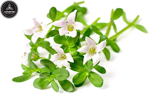 Poudre de Brahmi Bacopa Monnieri Solution Stress et Manque de Sommeil 200g - 3