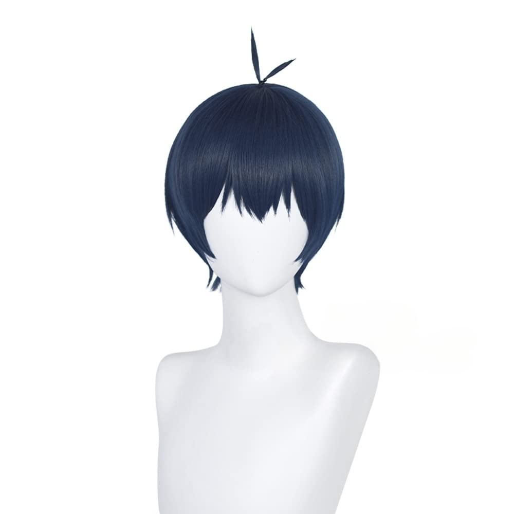 Isagi Yoichi Cosply Wig Dark Blue 28cm 11inch (Isagi Yoichi-DBL)