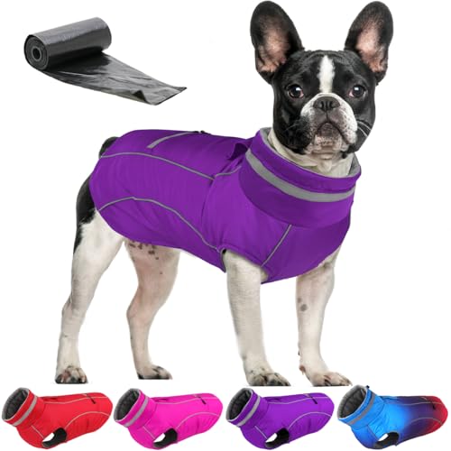 Doglay Waterproof Dog Coat, Reflective Dog Winter Jacket with Pocket & Turtleneck, Warm Puppy Snow Jacket for Small Medium Large Dogs - Purple, M