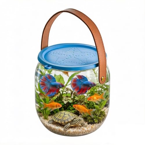 Acuario portátil para peces betta y transporte de conchas marinas 7