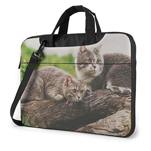 2 L PCP[X m[gp\RobO bvgbv یP[X PCobO Ռz y rWlXobO nhobO u[tP[X 񂰃obO t ΂ߊ|obO 13/14/15.6C`