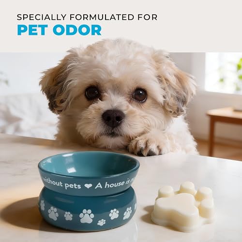 Image of One Fur All Pet House Spring and Summer Wax Melts for Pet Odor, Natural, Plant Based Soy Wax Melts, Long Lasting Fragrance for Fresh Smelling Homes, Lemon Cupcake