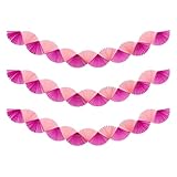 3 Pack Pink Floral Paper Fan Garland, 15.6ft 3D Bachelorette Hanging Party Decorations for Preppy Bachelorette Birthday Baby Shower Parties Decor