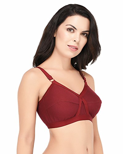 Image of Elina Women's Full Coverage Horsery D-Cup Bra.(Set of 1)