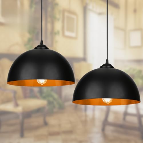 Lospitch Pendelleuchte Retro-Lampenschirm Hängelampe aus Metall 2x, Industrielle Vintage LED Pendellampe,E27 Fassung für max 60W, Ø 30cm（Ohne...