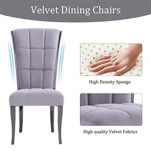 Acedécor Gray Dining Chairs, Upholstered High End Grey Velvet Dining Room Chair With Metal Back Ring Pull Trim Metal Legs, Modern Dining Chair For Dining Room, Apartment, Kitchen (Set Of 4) #TOP4