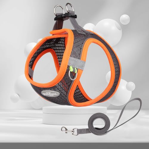 LOS ANDES Hundegeschirr mit Leine, Reflektierend, Weich Gepolstert, Air-Mesh, für Kleine Hunde und Katzen, in Grey Reflective, Größe S
