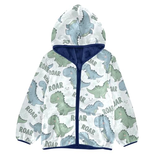 CHIFIGNO Cute Dinosaurs Toddler Boys Fleece Zip up Jacket Light Soft Fleece Jacket 3T
