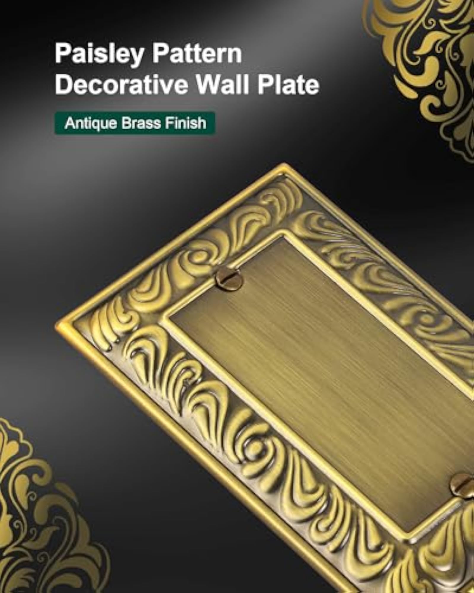 2-Pack Paisley Pattern Blank Outlet Cover Wall Plate