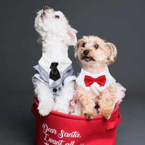 Oruola 2 Stück Formelle Haustier Fliege,Formelle Fliege für Hunde,Verstellbare Hundeschleifen für Welpen & Kätzchen,Hochzeiten, Geburtstage, Partys, Ostern & Jubiläen,Rot