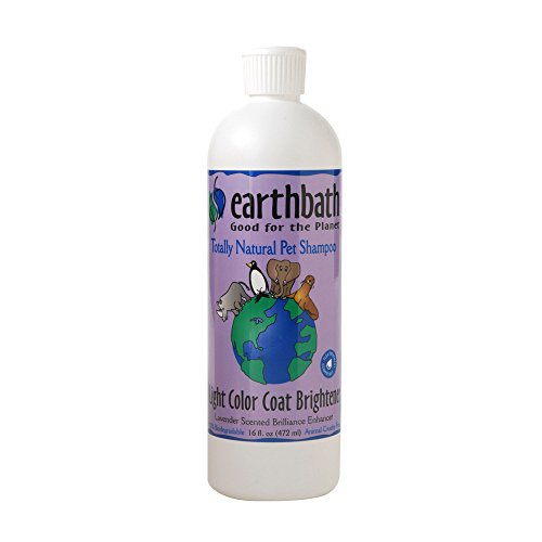 Earthbath All Natural Pet Shampoo (2 Pack) in Pakistan