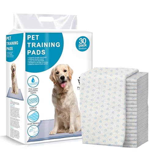 Image of Pet World Training Pads, with Odor Lock Technology & Super Absorbent Pee Pads, Leak-Proof Dog Potty Training Pads for Puppies, Dogs,Cats & Rabbits (60 X 60 cm) (30 Pcs)