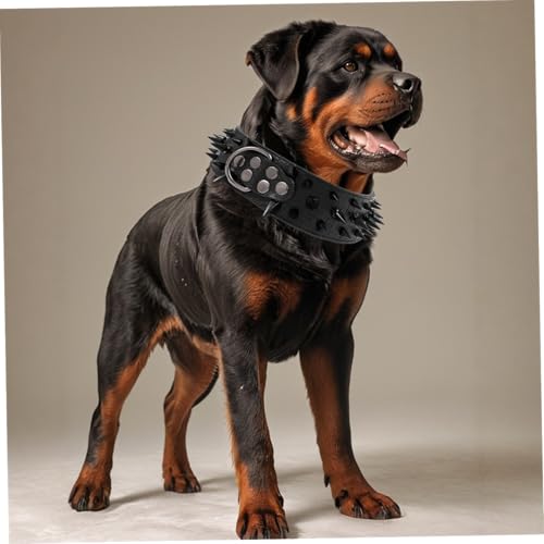 Collier pour chien à pointes cuir PU large avec rivets de sécurité et boucle métal