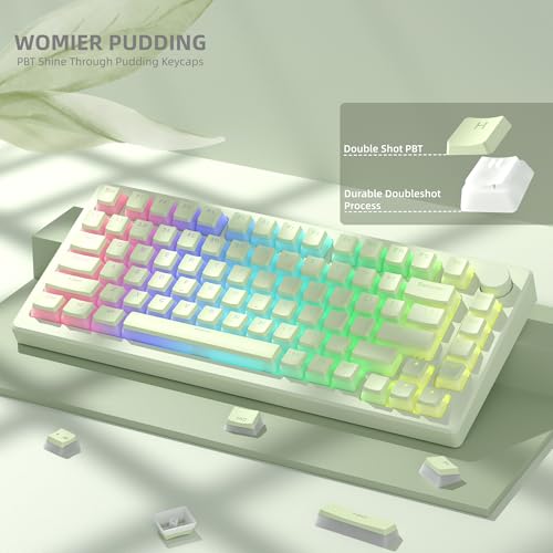 Image of Womier Shine Through PBT Keycaps, Green Pudding Key caps | OEM Profile Double Shot Custom Keyboard Keycaps 130-key Set for 60% 65% 75% 100% Cherry MX Mechanical Keyboard-Matcha Green