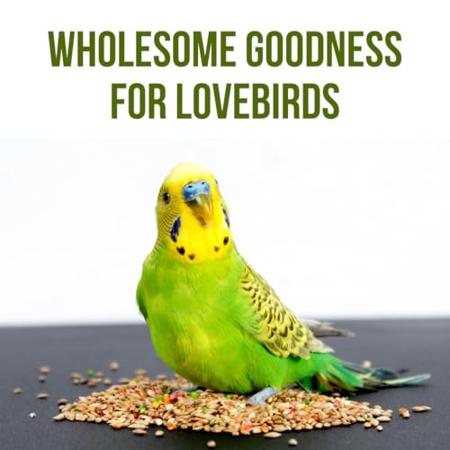 Brandsfinity 800g Premium Bird Feed for Budgies and Shell Parakeets – Nutrient-Rich Bird Food Blend with Essential Seeds for Vibrant Plumage and Energy