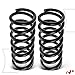A-Premium 2Pcs Rear Suspension Coil Spring Set Compatible with Nissan Pathfinder Armada 2004, Armada 2006-2015 & Infiniti QX56 2004-2010, RWD, Driver and Passenger Side, Replace# 550207S621