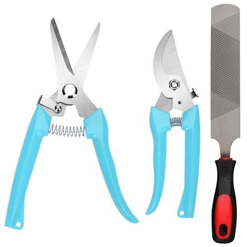 PEUTIER Tagliaunghie e Raspa per Zoccoli Blu