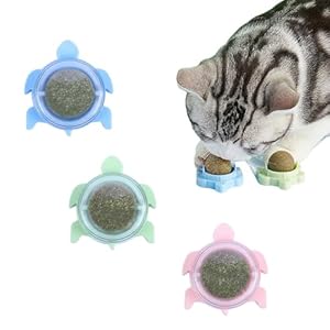 Sichumaria Catnip Wall Toys,Catnip Balls Teeth Cleaning Cat Bite Toy,Edible Cat Licking Toy, Cat Chew Toy, Teeth Cleaning Cat Bite Toy, Rotatable Indoor Cat Toy (Green)