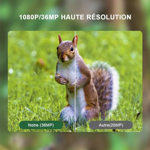 HAZA Wildkamera 4K HD Wildtierkamera mit 32G Sd Karte mit Bewegungsmelder nachtsichtkamera Outdoor...
