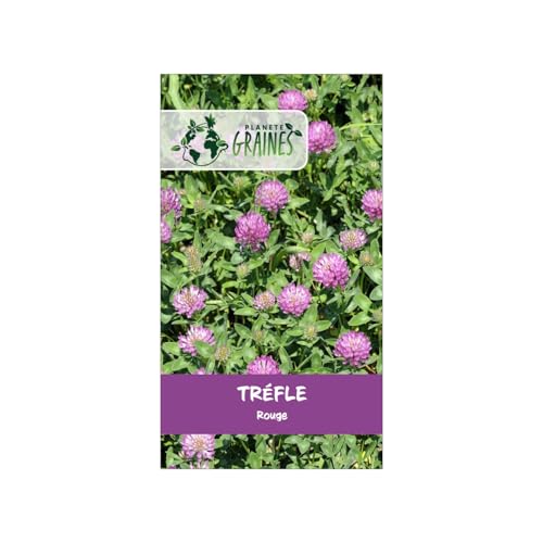 440 Graines de Trèfle Rouge - Alimentation pour tortue et Jardin Facile