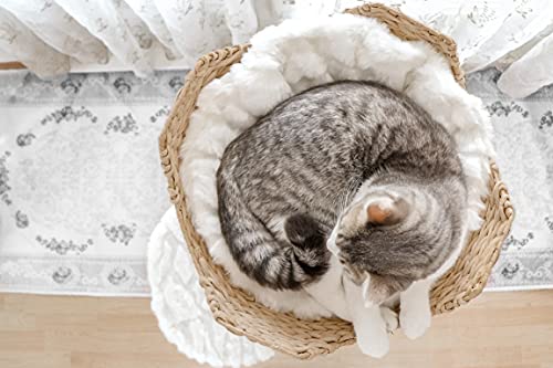 Wooden Cat Tree Tower, Modern Single Branch Cat Condo, Wood Cat Tree, Cat Climbing, Furniture For Cat, Cat Lover Gift, Cat Furniture,Cat Gift By Mau Lifestyle (Alpine White) #TOP7