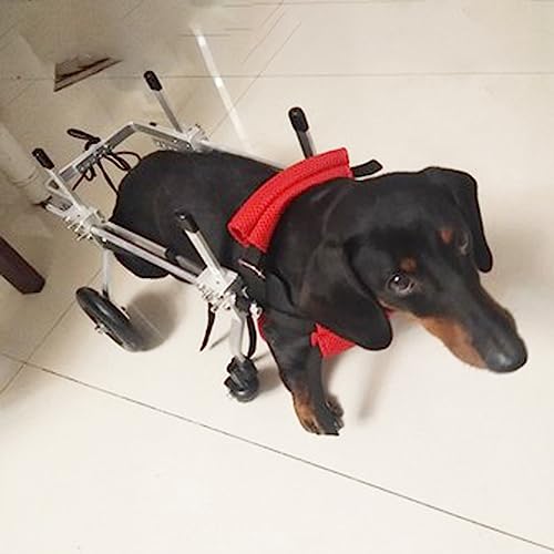 Silla de ruedas para perros pequeños regulable, carrito ampliable XS para cachorros 2
