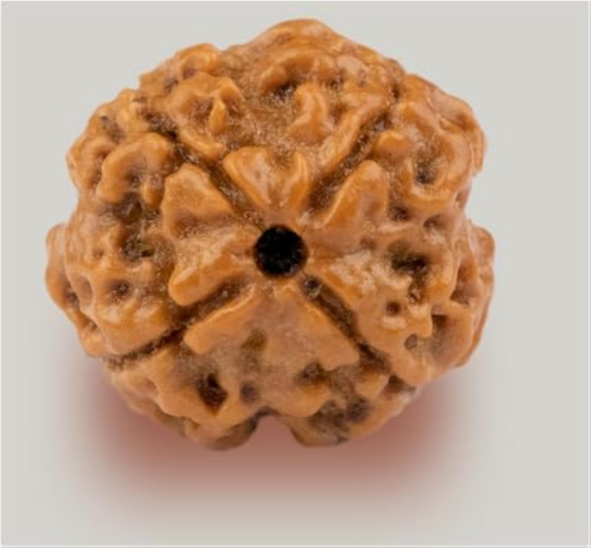 Natural Four Face Rudraksha Pendant, Lab Certified