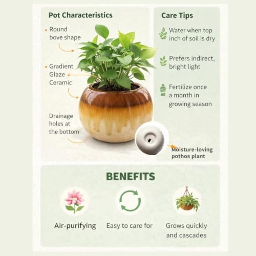 Image of Ceramic Plant Pots, Clay Flower Pot with Drainage Hole, Decorative Modern Indoor Planters, Home Garden Decor for Living Room Bedroom Interior| Set of 1 (Brown)