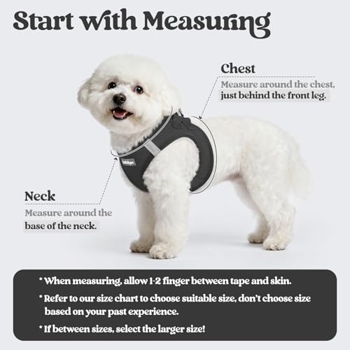 Image of rabbitgoo Dog Harness Medium Sized and Leash Set, Step-in Puppy Pet Vest