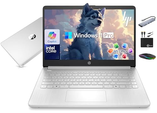 HP 14�C���` �m�[�g�p�\�R�� 2025-2026 �r�W�l�X�w�� Copilot AI�ALifetime Office�A4�R�AIntel CPU�A16GB RAM�A628GB�X�g���[�W (128GB UFS + 500GB Ext)�AWi-Fi 6�A10