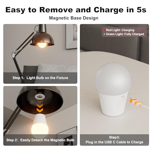 Rechargeable LED Light Bulbs with Remote Control - Home and Outdoor Use