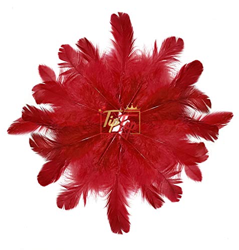 Image of Natural Dyed Feathers 10 cm (80 pieces) (Maroon)