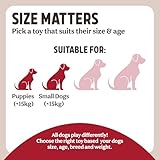 Rosewood Natural Nippers Loopy Dog Fun Ball, All Breed Sizes - Image 5