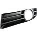 Evan Fischer Fog Light Molding compatible with Chrysler Chrysler 300 05-10 Left Side Lower w/Fog Light Hole