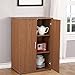 DesignFit Engineered Wood Multipurpose Side Board Cabinet Storage Cabinet for Kitchen and Living Room (Walnut Finish)