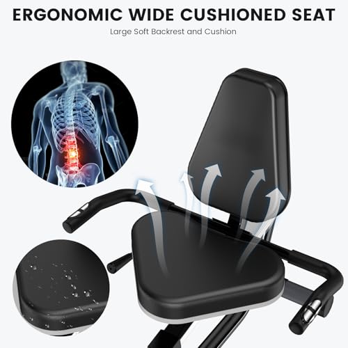 Recumbent Bike with High Back Support