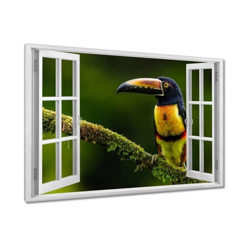Peinture imprimée sur toile toucan pour illuminer votre salon contemporain