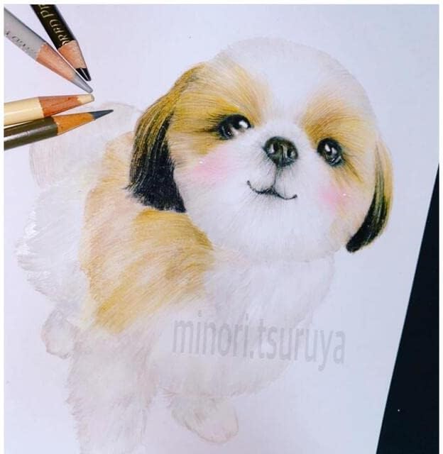ただ今シーズー犬似顔絵オーダー製作中 Enjoy Athletics De