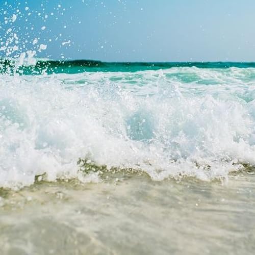 SLSA report - one drowning every two days