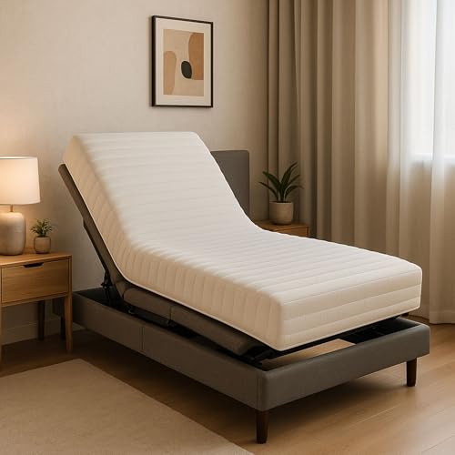 Nuits D'or Matelas 80x190 - Hauteur 15 cm Mémoire de Forme pour Sommier Articulé – 2 Faces Hiver/Été – Confort Enveloppant – Certifié CertiPUR &...