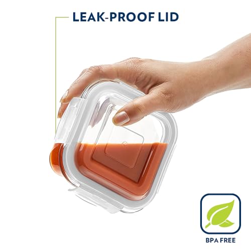 Image of Borosil Klip n Store 320ml x 2 Square Container Lunchbox | Made in India Borosilicate Glass | Microwave & Dishwasher Safe | Tiffin for Office /School /College | Vertical