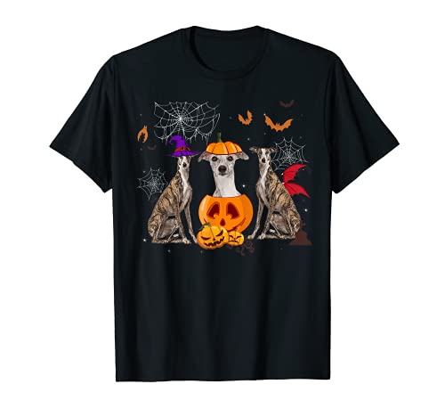 Funny Pumpkin Witch Whippet a juego perro Halloween regalos Camiseta
