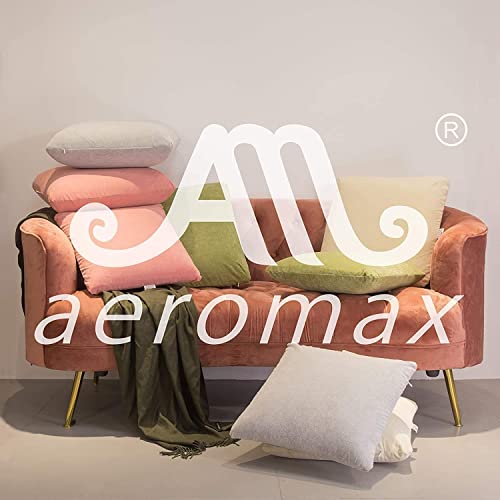 AM AEROMAX 12 × 20 Kisseneinsätze, Memory-Schaum, Lendenwirbelstütze, rechteckig, für dekorative Kissen, Bett, Couch, Sofa, ohne Verformung nach langem Gebrauch (2 Stück)