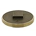 4" Brass Raised Head Cleanout Plug Pack of 20