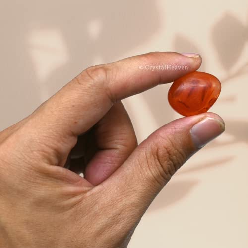 Image of Certified Carnelian Crystal Healing Tumbled Stone, Natural Polished Crystals for DIY Crafts, Manifestation, Meditation, Pooja Feng Shui and Reiki Healing (30 Grams)