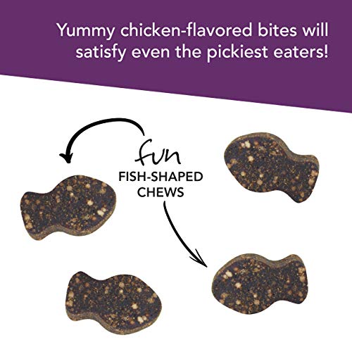 Vetriscience Laboratories - Vetri Lysine Plus, Immune Support Supplement For Cats, 90 Bite Sized Chews #TOP4