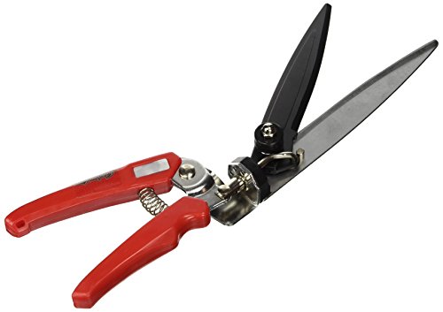 Ama 33037 Cisailles à gazon