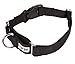 GOGO Pet Products 1-Inch Martingale Dog Collar, Large, Black