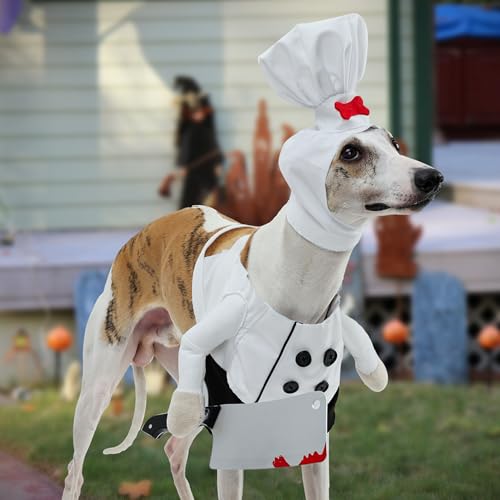 Disfraz de Chef para Mascotas Ajustable ETIAL miniatura 2