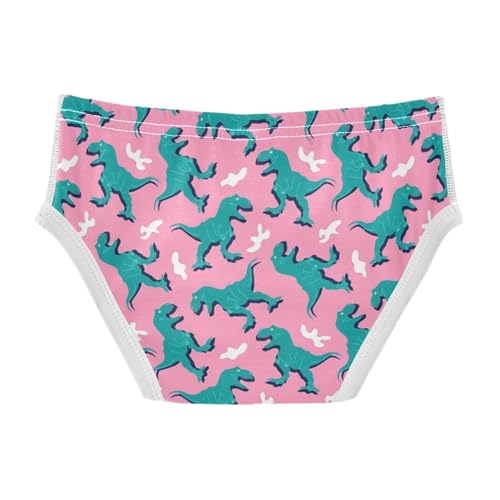visesunny Boys Potty Training Underwear Summer Cartoon Dinosaur Animal Pink Breathe Cotton Briefs Size 2T-8Y for Toddler2